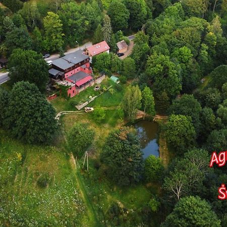 Agroturystyka Pod Swierkiem Srebrna Gora Ngoại thất bức ảnh